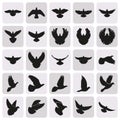 Flying black dove pigeon simple icons set