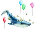 Flying blue whale and flock white butterflies and colorful balloons, isolated. Hand drawn watercolor