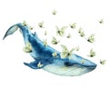 Flying blue whale and flock white butterflies, isolated. Hand drawn watercolor