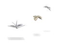 Flying books