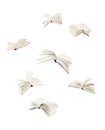 Flying books Royalty Free Stock Photo