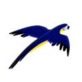 Flying bright blue-yellow parrot macaw vector image Royalty Free Stock Photo