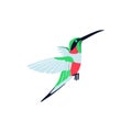 Flying bright tropical hummingbird