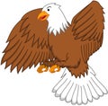 Flying Brown Eagle Cartoon Color Illustration