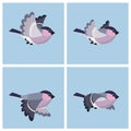 Flying Bullfinch female animation sprite sheet