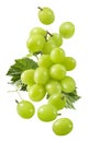 Flying bunch of grapes isolated on white background. Green berries falling