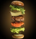 flying burger. food photography. eat and meal. flying ingridients for cheeseburger