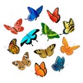 Flying butterflies