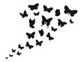 Flying butterflies black icons. Tattoo stencil silhouettes, spring butterfly graphics. Various insect fly up in sky Royalty Free Stock Photo