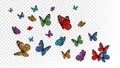 Flying butterflies. Colorful butterfly isolated on transparent background. Spring and summer insects vector illustration