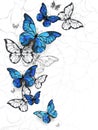 Flying butterflies morpho Royalty Free Stock Photo