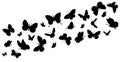 Flying butterflies silhouettes. Butterflies in flight. Butterfly seamless border. Black forest and garden insects vector