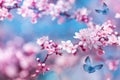 Flying butterfly and blossoming pink cherry branch against blue sky background. Beautiful magic image of spring nature flowering