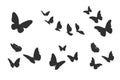 Flying butterfly silhouettes, Butterflies silhouette set