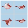 Flying Cardinal Bird female animation sprite sheet Royalty Free Stock Photo