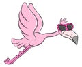 Flying cartoon flamingo with sunglasses Royalty Free Stock Photo