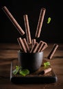 Flying chocolate wafer rolls and mint leaves. Levitating waffle sticks Royalty Free Stock Photo