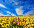 Flying clouds on a windy spring day