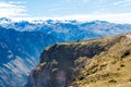 Flying condor over Colca canyon,Peru,South America Royalty Free Stock Photo