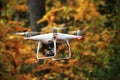 Flying drone in autumn yellow forest environment