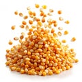 Flying corn seeds Royalty Free Stock Photo