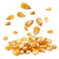 Flying Corn Seeds isolated on transparent background Royalty Free Stock Photo