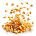 Flying corn seeds Royalty Free Stock Photo