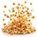 Flying Corn Seeds Isolated on White Background Royalty Free Stock Photo