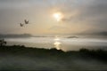 Flying couple cranes over the river in morning fog Royalty Free Stock Photo