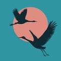 flying crane birds Royalty Free Stock Photo