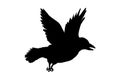 Flying crow bird silhouette, Simple swallows in flight, crows in the sky. Group of birds border. Royalty Free Stock Photo