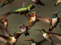 Flying cute hummingbirds realistic seamless pattern