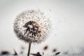 flying dandelion macro Generative AI