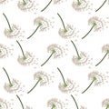 Flying dandelion seed seamless pattern, great design for fabric, wallpaper, background. Royalty Free Stock Photo