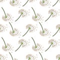 Flying dandelion seed seamless pattern, great design for fabric, wallpaper, background. Royalty Free Stock Photo