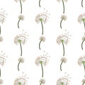 Flying dandelion seed seamless pattern, great design for fabric, wallpaper, background. Royalty Free Stock Photo