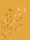 Flying dandelion seeds on gold