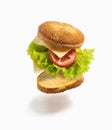 Flying deconstructed sandwich made from slices of bread, tomato, cheese and green lettuce on a white background. Levitation of a