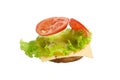 Flying deconstructed sandwich made from slices of bread, tomatoes, cheese on a white background. Levitation of a simple sandwich.