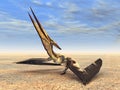 Flying Dinosaur Pteranodon