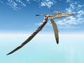 Flying Dinosaur Pteranodon Royalty Free Stock Photo