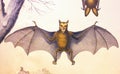 Flying dog, bat in a vintage book History of animals, by Shubert/Korn, 1880, St. Petersburg Royalty Free Stock Photo