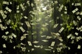 Flying dollar banknotes in a green forest Royalty Free Stock Photo