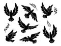 Flying dove black silhouettes Royalty Free Stock Photo