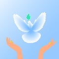 Flying dove. Blue background with bright rays. Easter. The symbol of purity. Christian faith. Holy Spirit. Vector