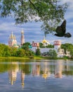 A flying dove in front of the Novodevichy Convent. Moscow. Russia Royalty Free Stock Photo