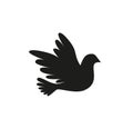 A flying dove. Silhouette of the bird. Doves on white background, silhouette dove in flight. Flying birds. Silhouette of the