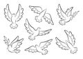 Flying dove sketch vector set