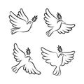 Flying dove vector sketch set. Dove of Peace. Royalty Free Stock Photo