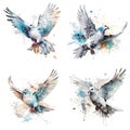 flying dove watercolor illustration set